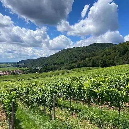 Neubau-oase Am Weinbergsrand Apartment Deidesheim