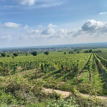 Neubau-oase Am Weinbergsrand Апартаменты *