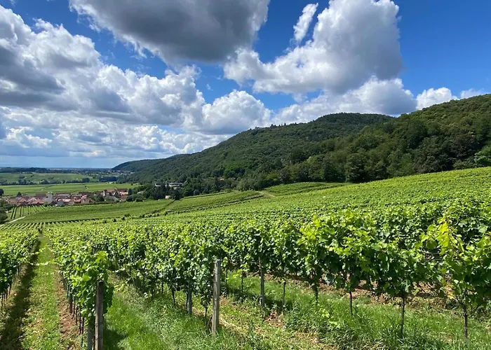 Neubau-oase Am Weinbergsrand Апартаменты Дайдесхайм