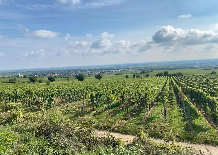 Neubau-oase Am Weinbergsrand 公寓 *